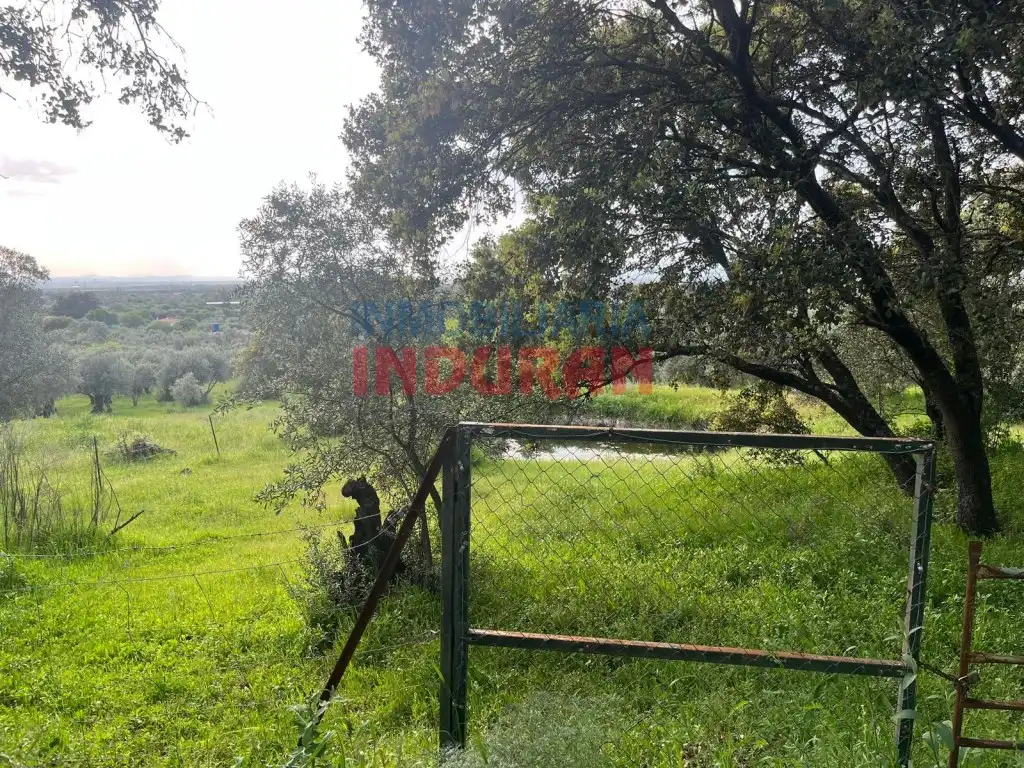 Finca rústica en venta en Millanes