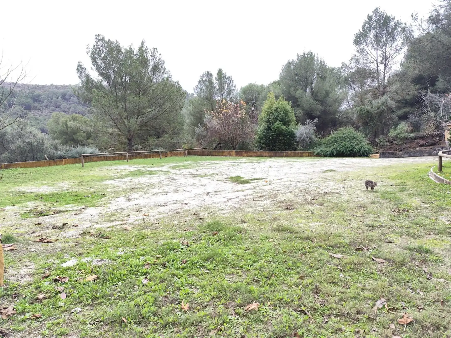 House with garden for sale in Llanos de purla, imagen 19