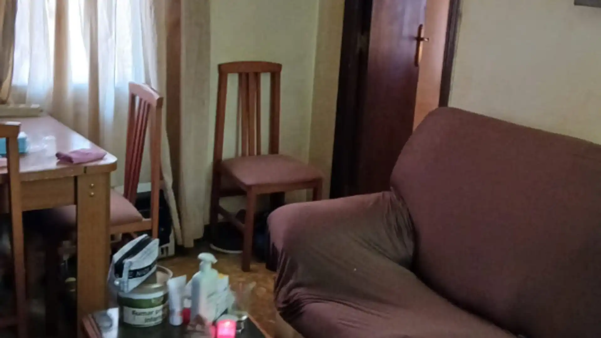 Sala de estar de Piso en venta en Santa Coloma de Gramenet con Amueblado