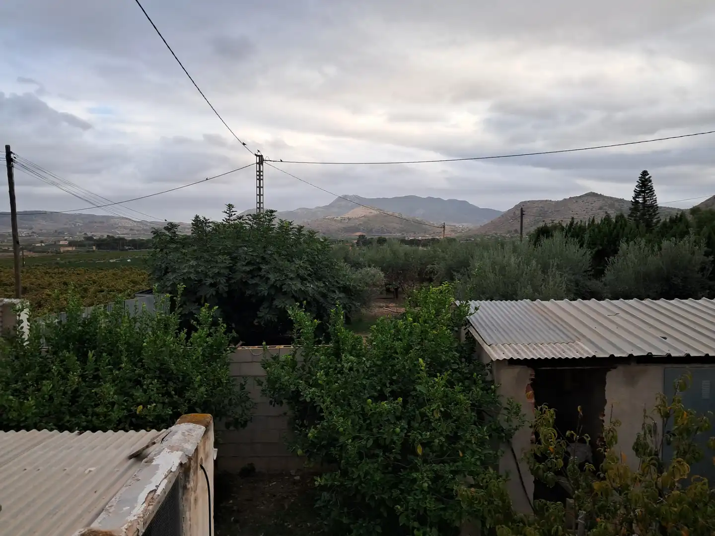Vista exterior de Casa o chalet en venta en Aspe con Jardín privado, Terraza y Trastero