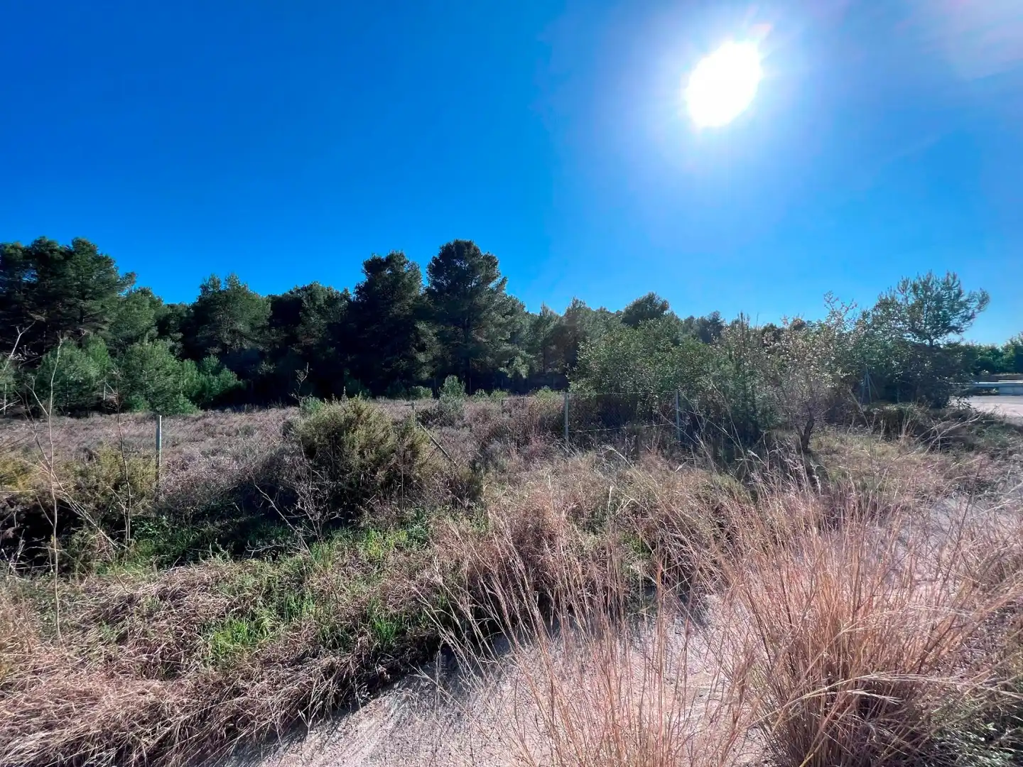 Terrenos y solares en venta en La Vall d'Uixó, imagen 8