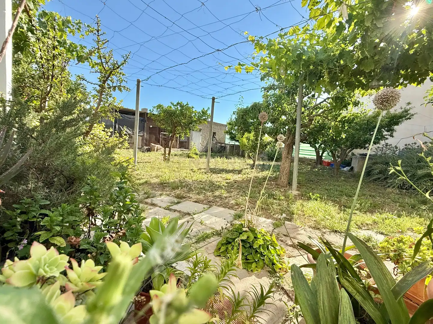 Casa amb jardí en venda a Berja, imagen 32