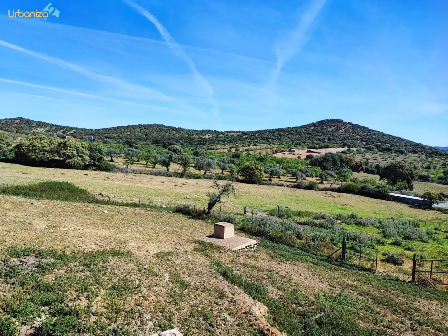 Land for sale in Salvaleón