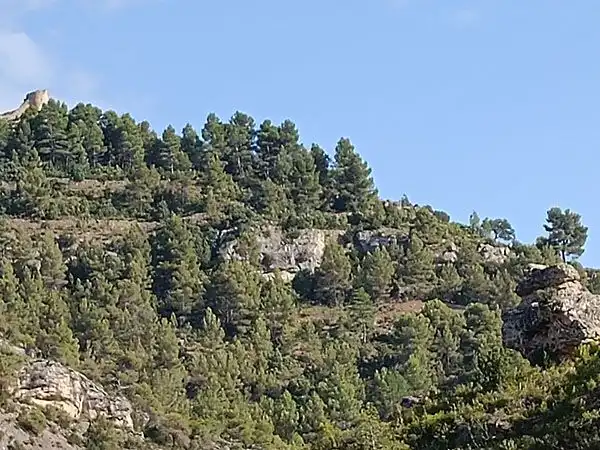 Xalet amb piscina en venda a Camino del Parrizal 7, imagen 52