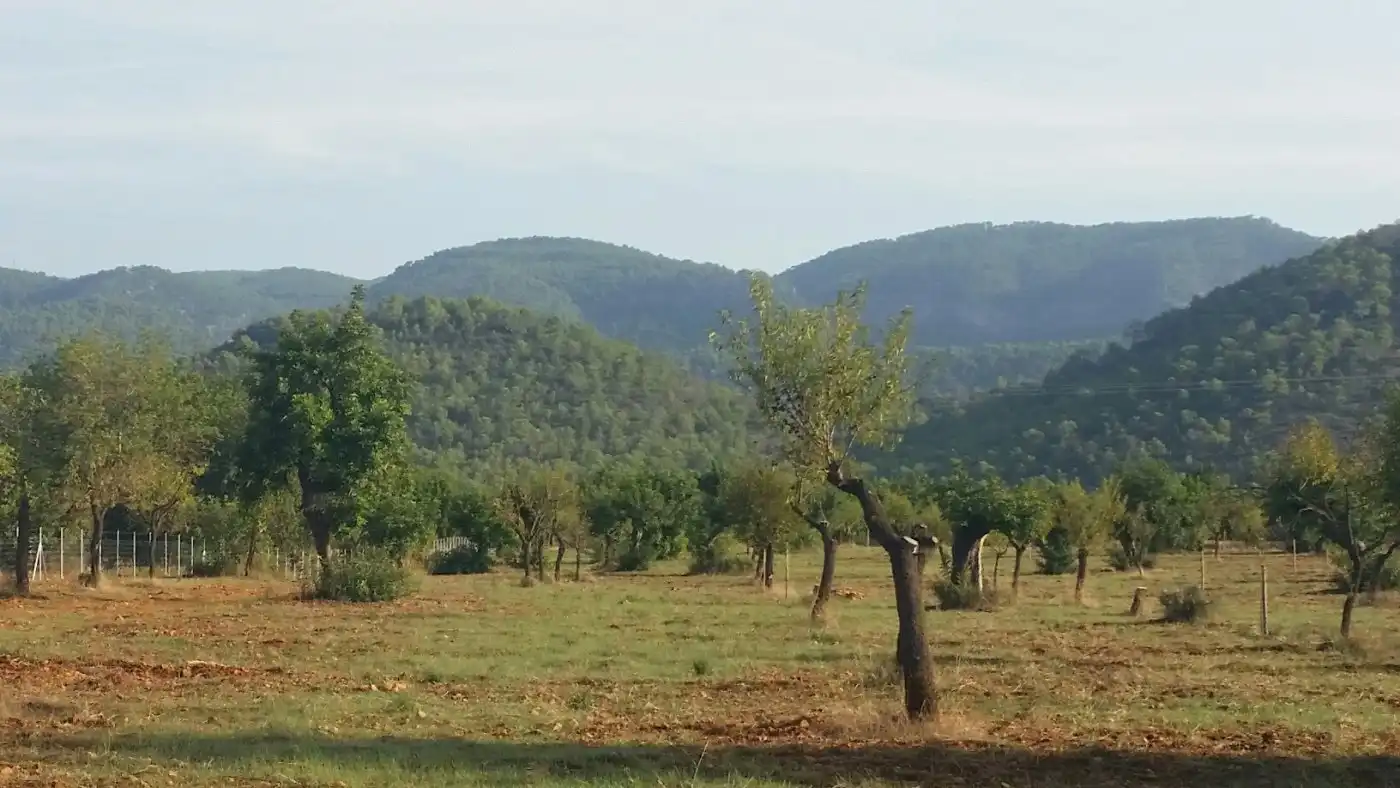Casa rustica in vendita a Campanet, imagen 2
