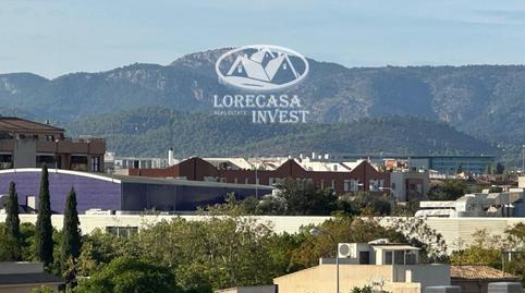 Foto 3 de Àtic de lloguer a Josep Melia, L'Olivera,  Palma de Mallorca