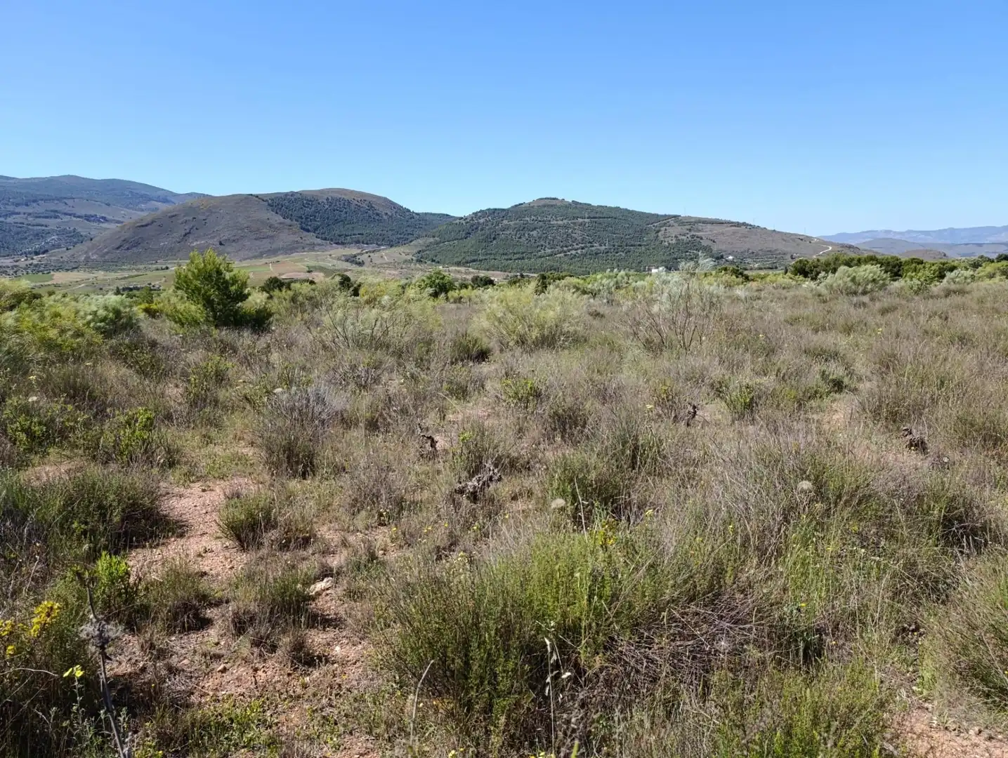 Terreny rústic en venda a Paterna del Río, imagen 2