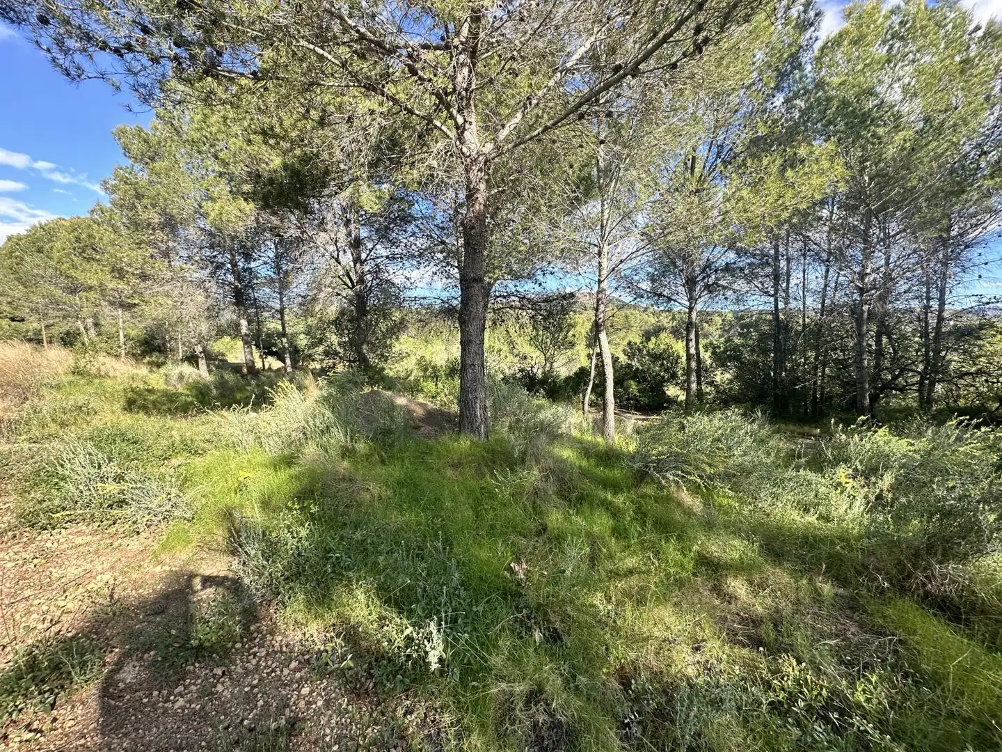 Terreny residencial en venda a Estivella, imagen 3