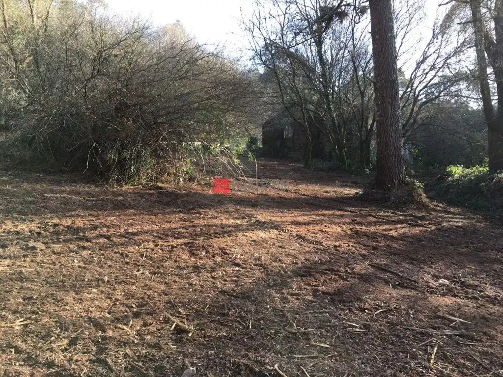 Casa o xalet en venda en Santiago de Compostela  amb Jardí privat
