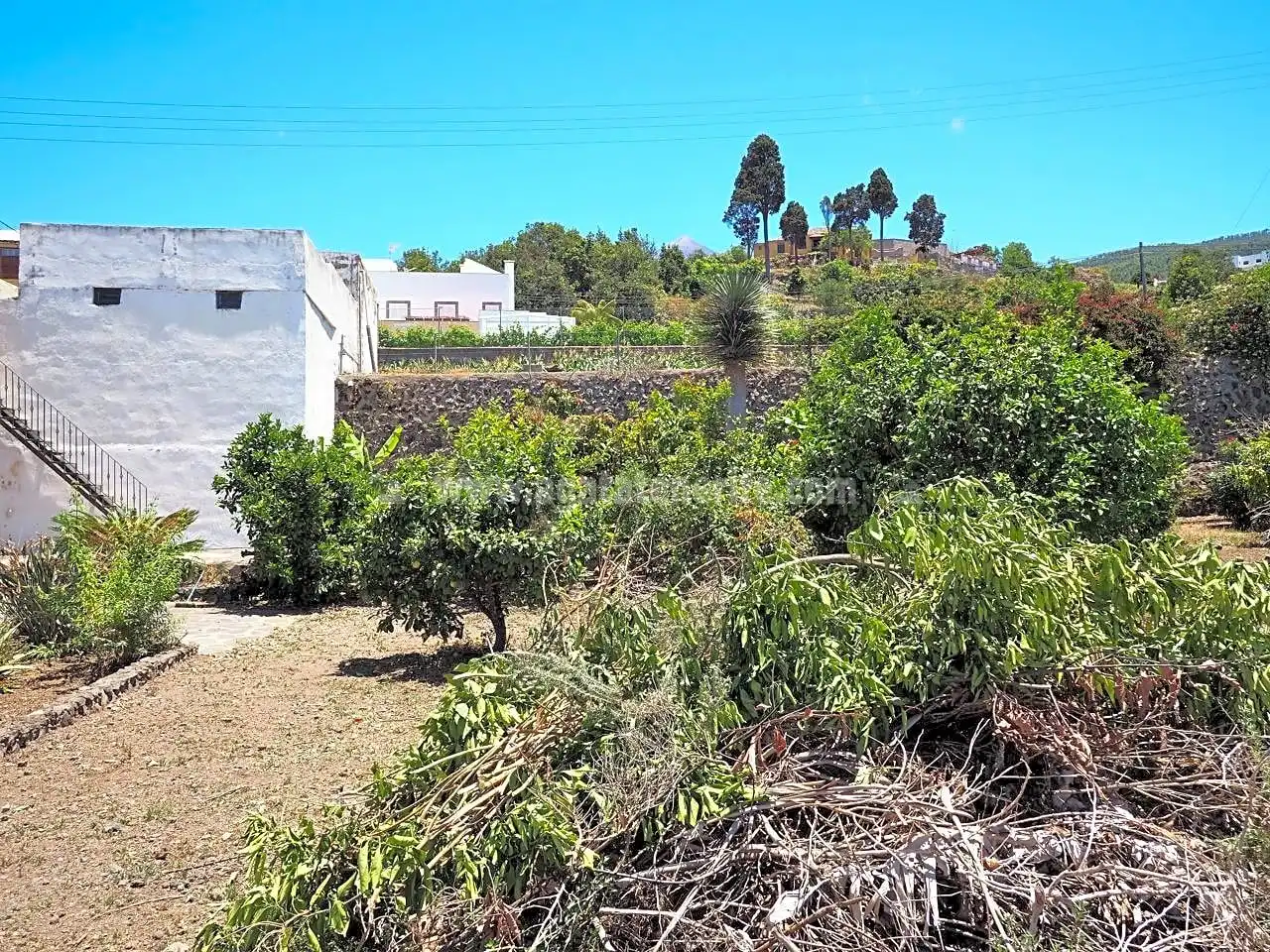 Finca rústica en venta en Icod de los Vinos con Jardín privado
