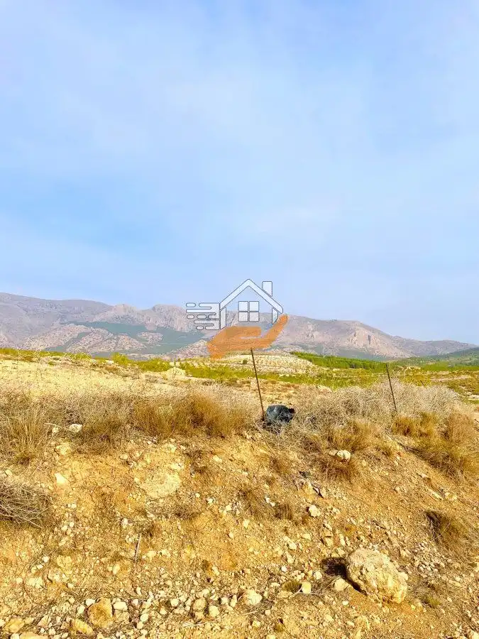 Residential land for sale in Vélez-Rubio, imagen 4