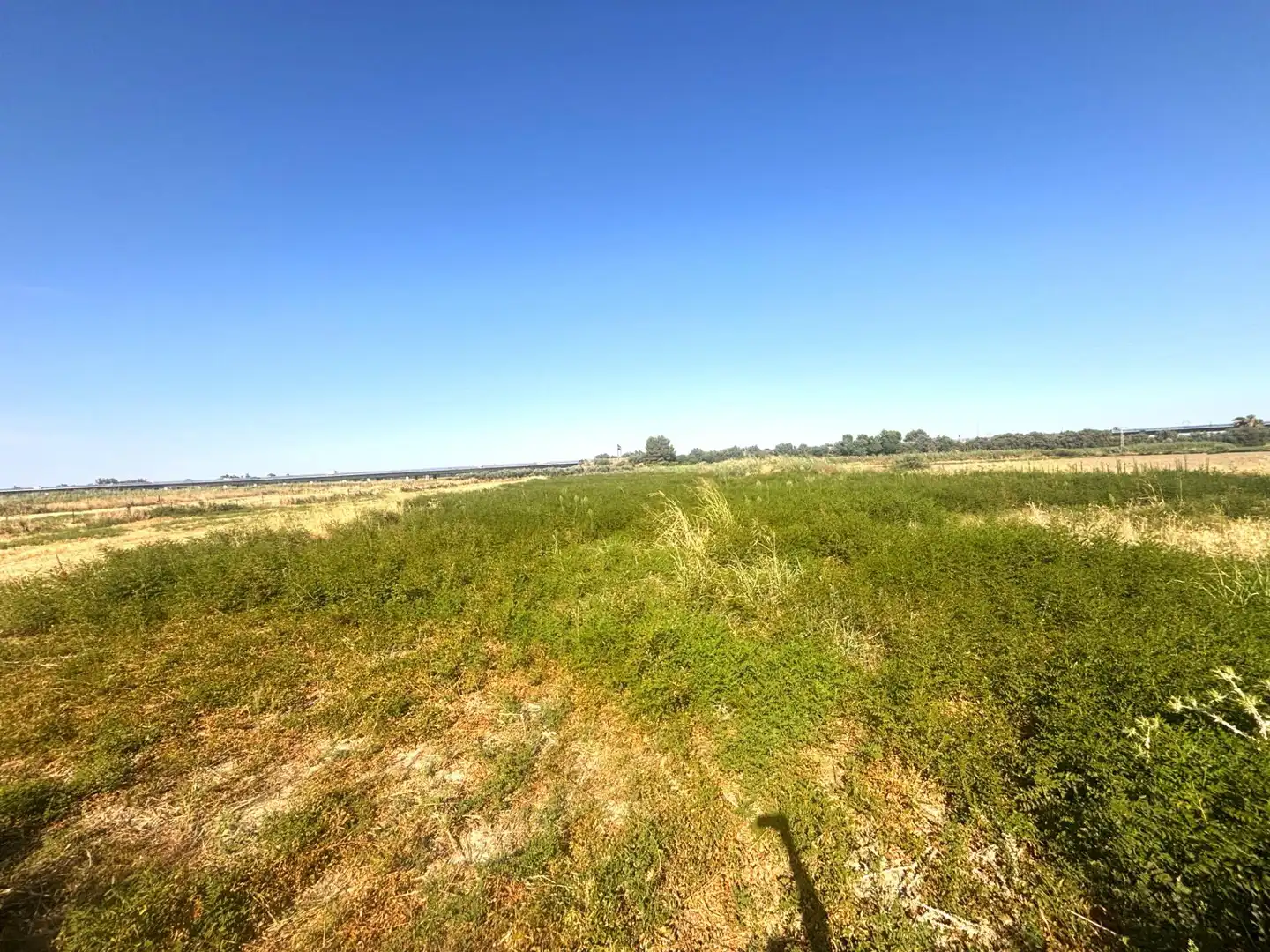 Terreno en venta en Santiponce