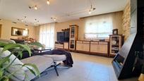 Sala d'estar de Casa o xalet en venda en Sant Esteve Sesrovires amb Aire condicionat, Terrassa i Piscina