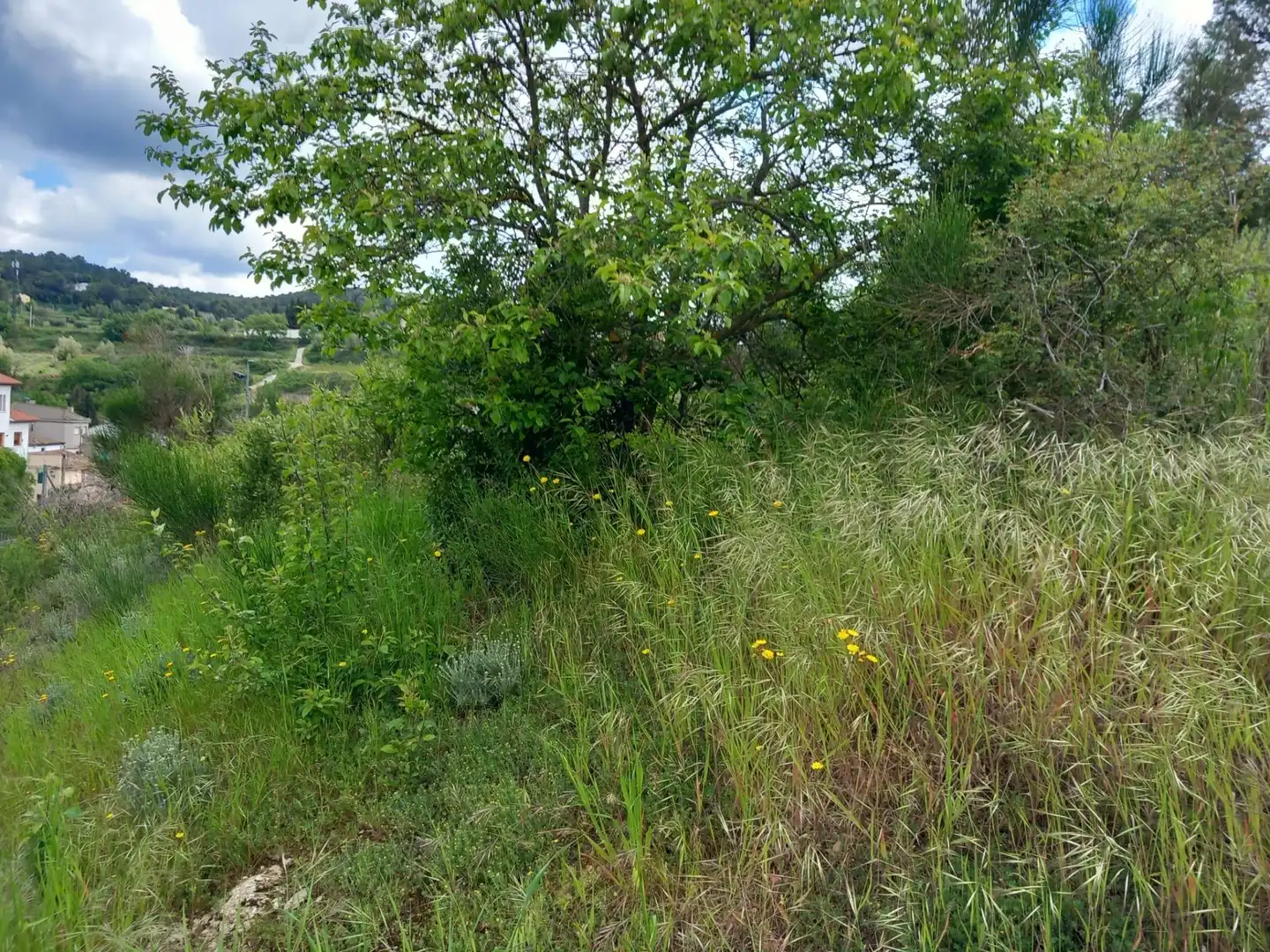 Residential land for sale in Pontons, imagen 21