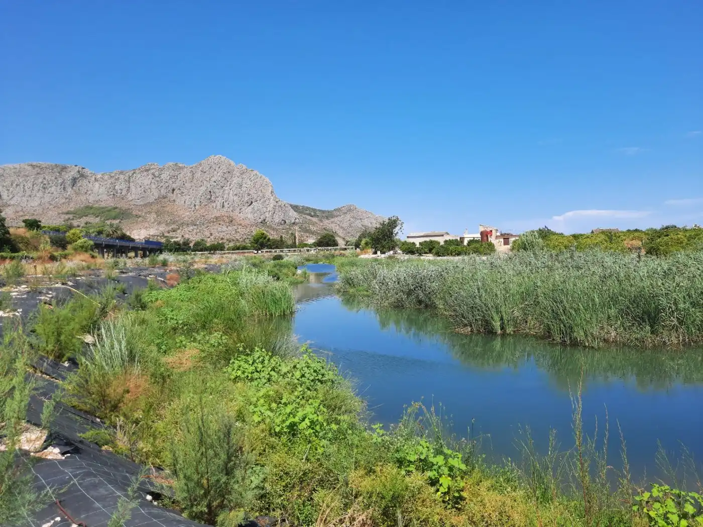Vista exterior de Finca rústica en venta en Ondara con Aire acondicionado, Calefacción y Jardín privado