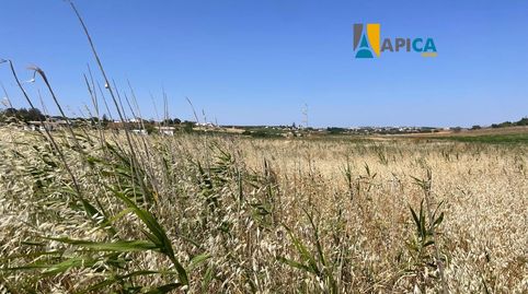 Foto 3 de Terreny en venda a Conil, Conil de la Frontera