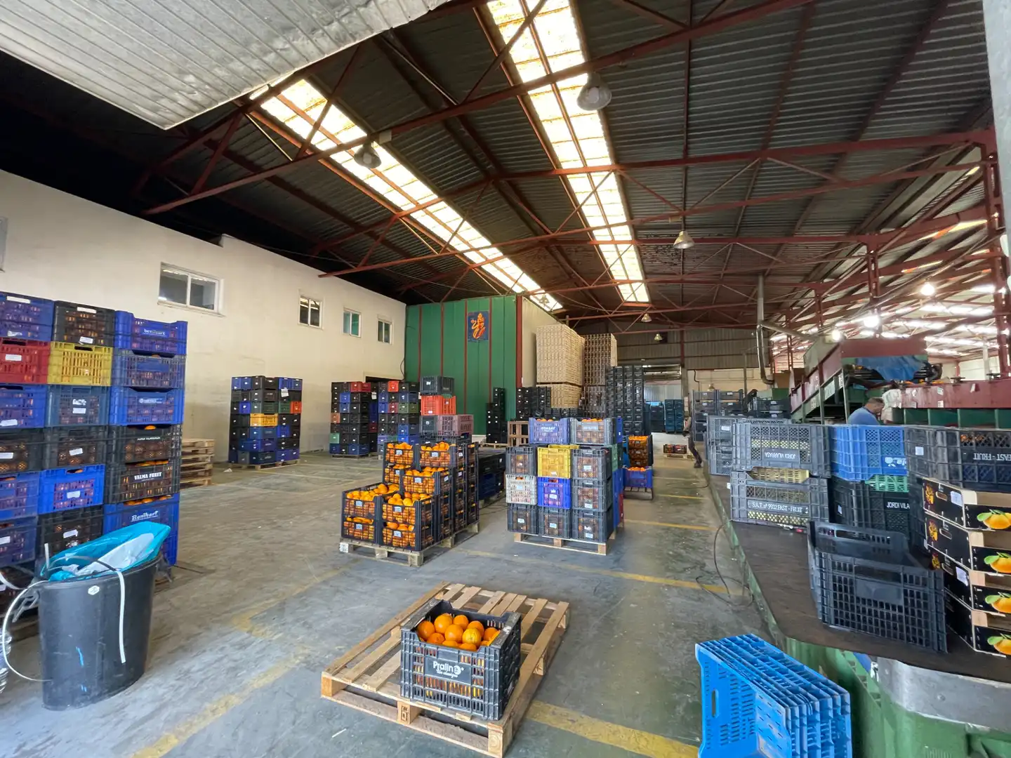 Nau industrial en venda a Carrer d'Algímia d'Alfara, 2, Na Rovella - Hermanos Maristas