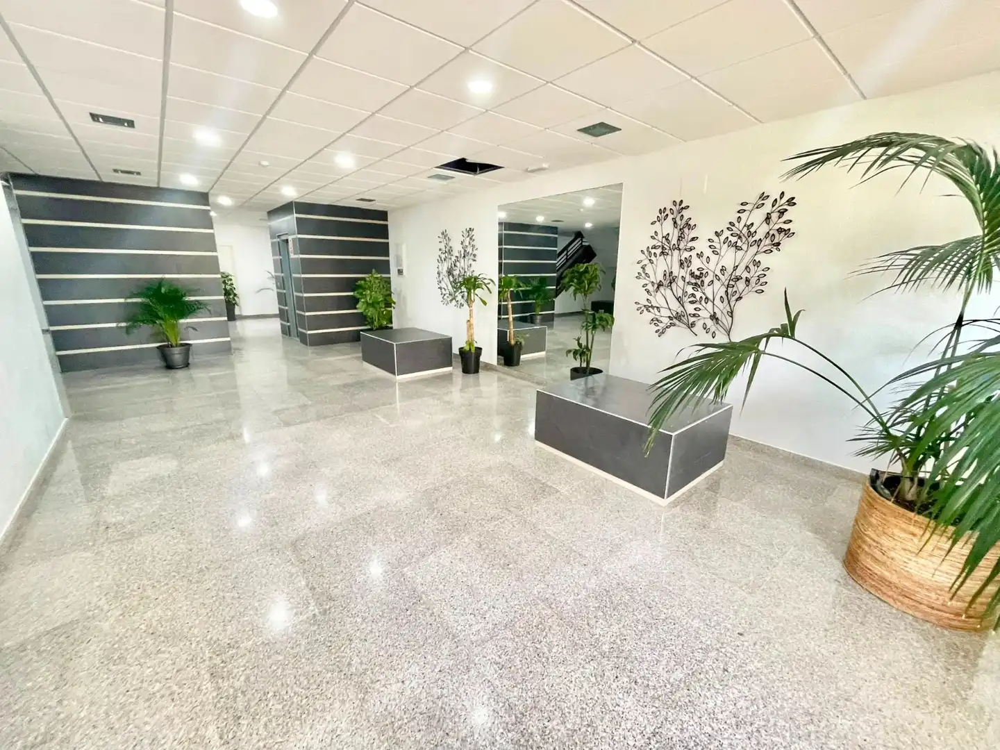 Estudio de alquiler en Orihuela con Aire acondicionado, Amueblado y Lavadora
