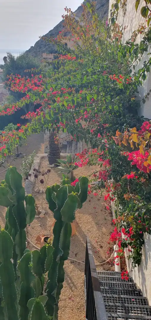 Detached house with pool for sale in Zona Pueblo, imagen 31