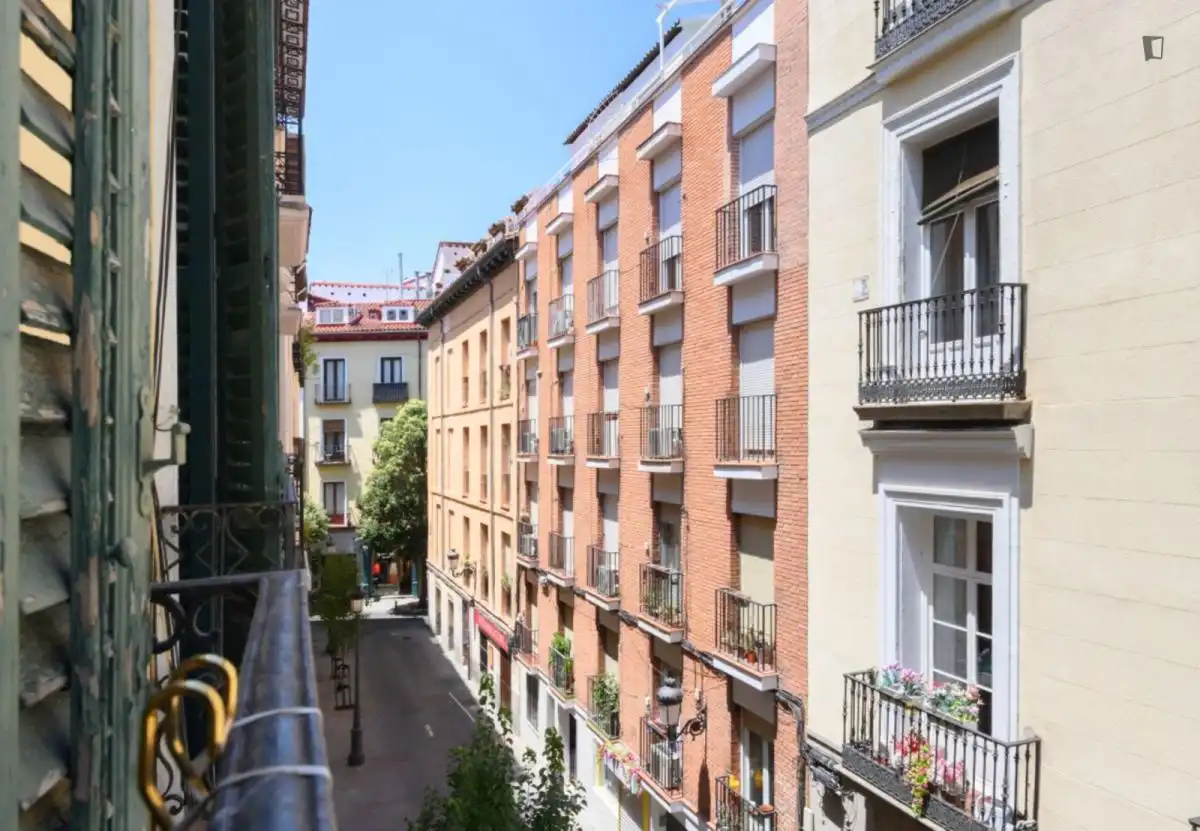 Apartment to rent in Centro, imagen 16