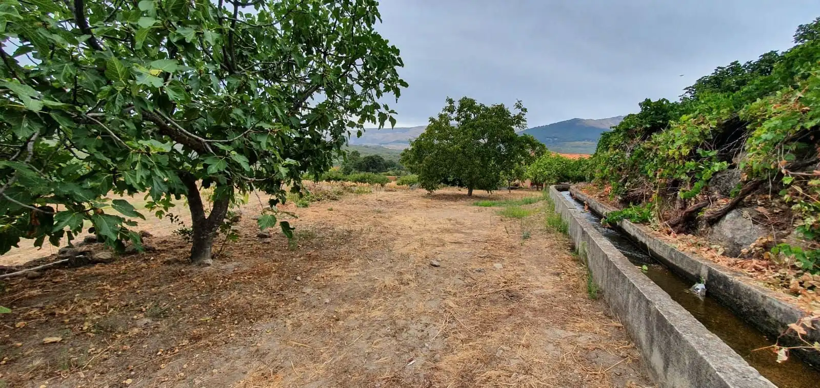 Terreni e lotti in vendita a Jarandilla de la Vera, imagen 7