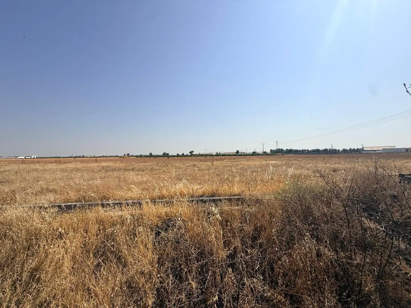 Terreno rústico en venta en Carretera Alcázar, imagen 16