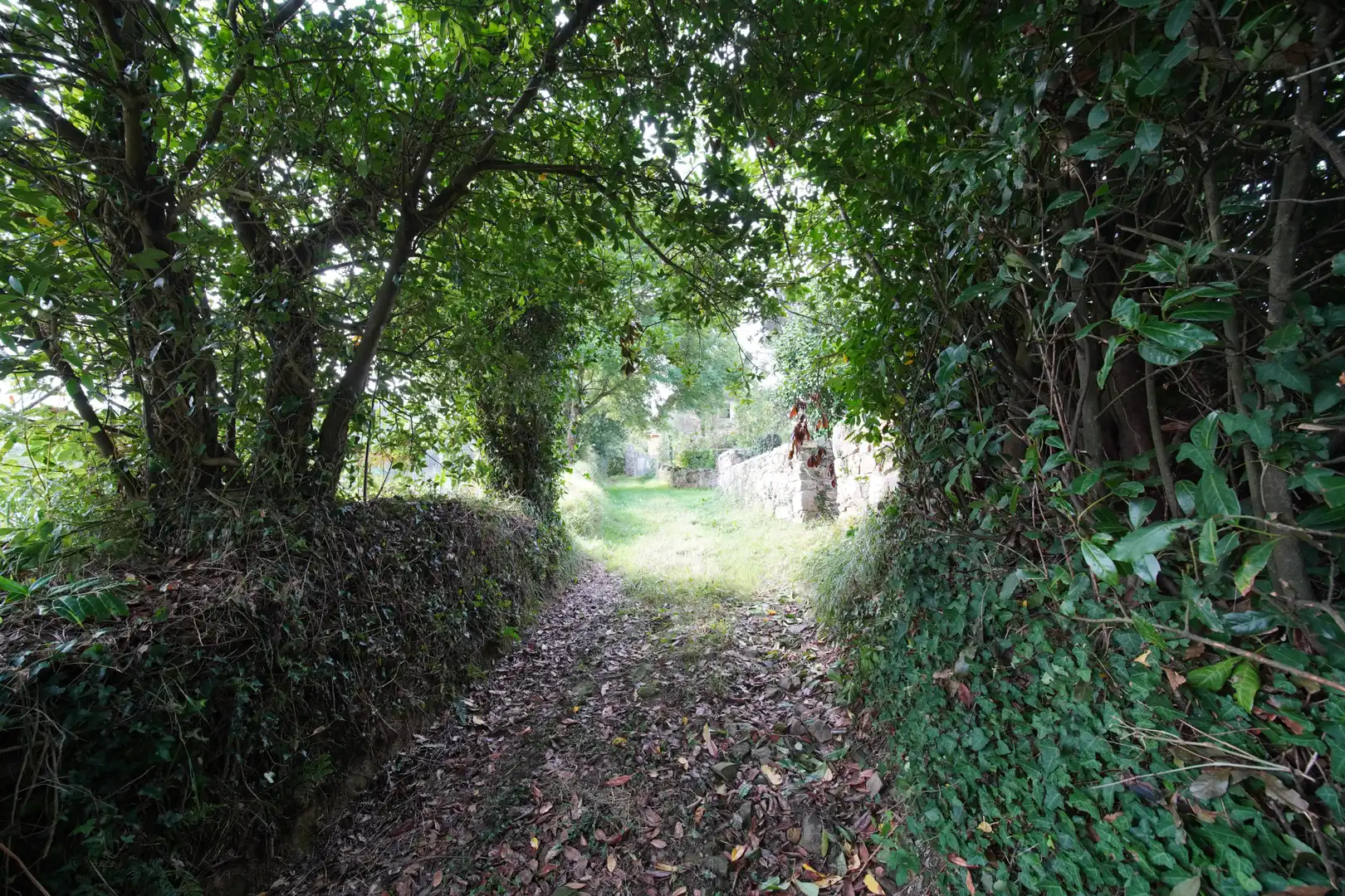 Wohnbaugrundstück zum Verkauf in Cudillero, imagen 6