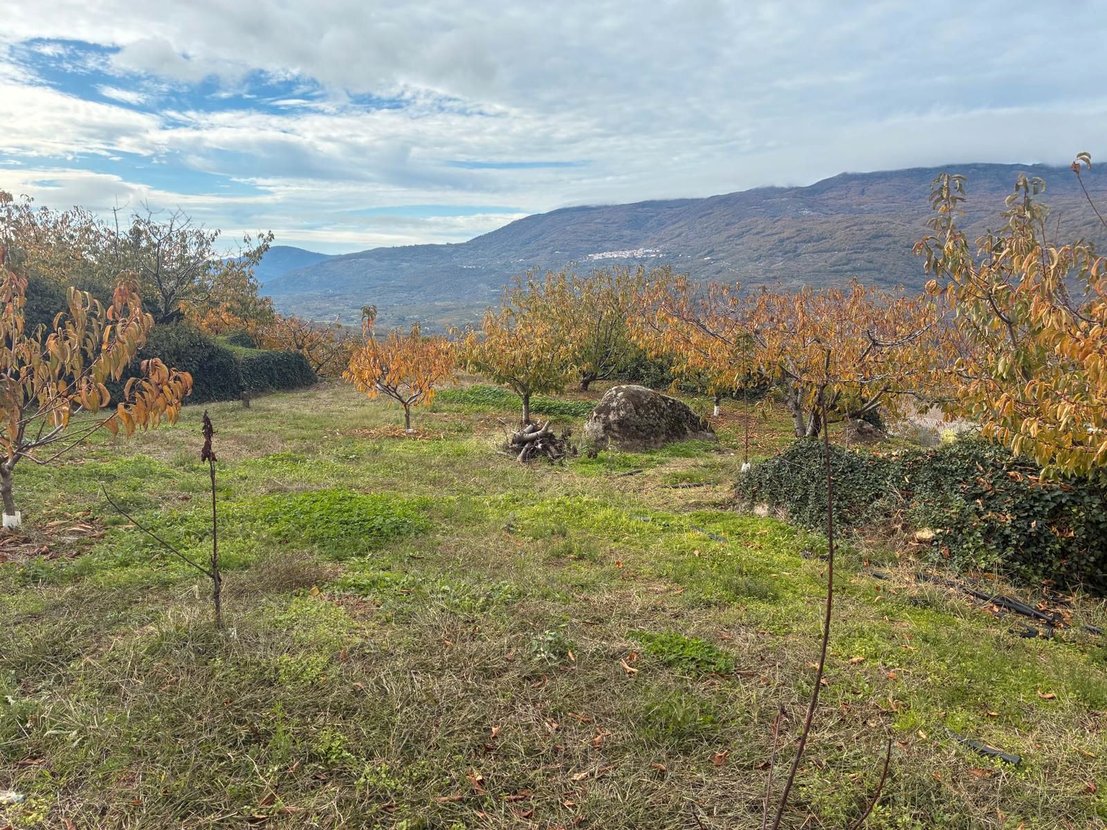 Residential for sale in Valdastillas