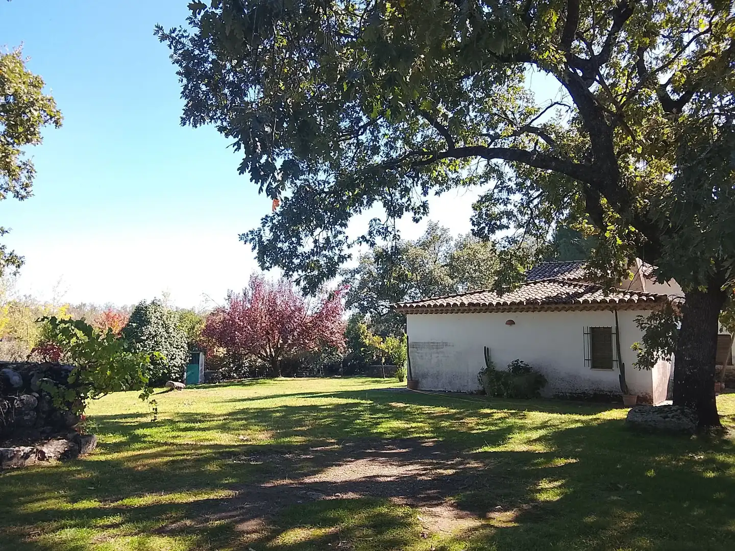 Haus mit Garten zum Verkauf in Madrigal de la Vera, imagen 144