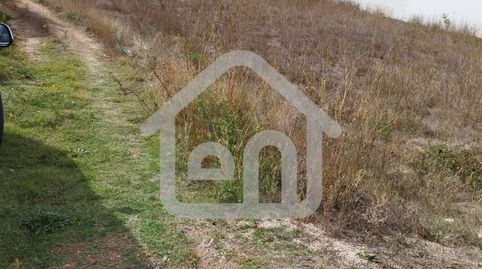 Terreno Rustico en la Torrecilla Requena, immagine 3