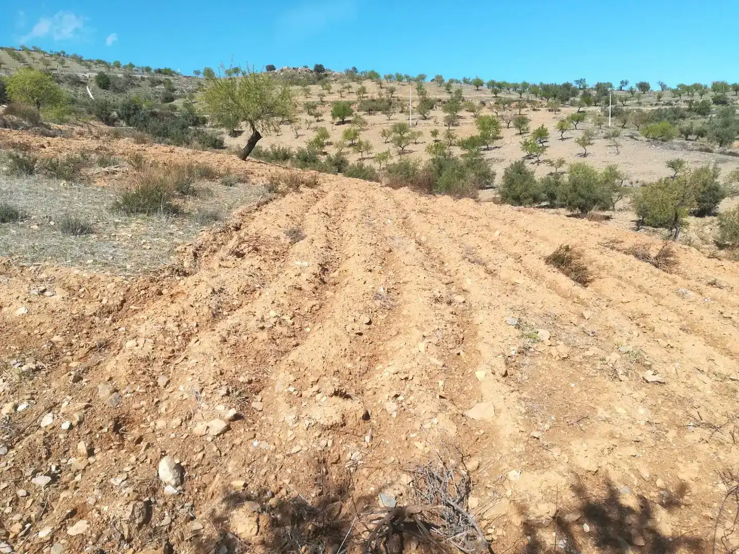 Terreno en venta en Tahal