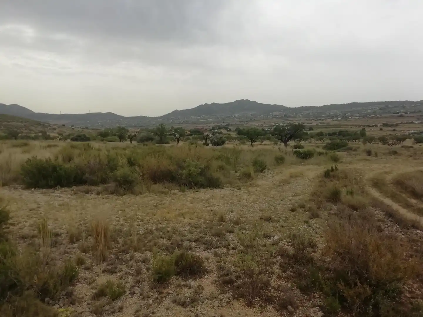 Terreno rustico in vendita a Hondón de los Frailes, imagen 3