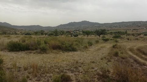 Terreno en Hondón de los Frailes, imatge 3
