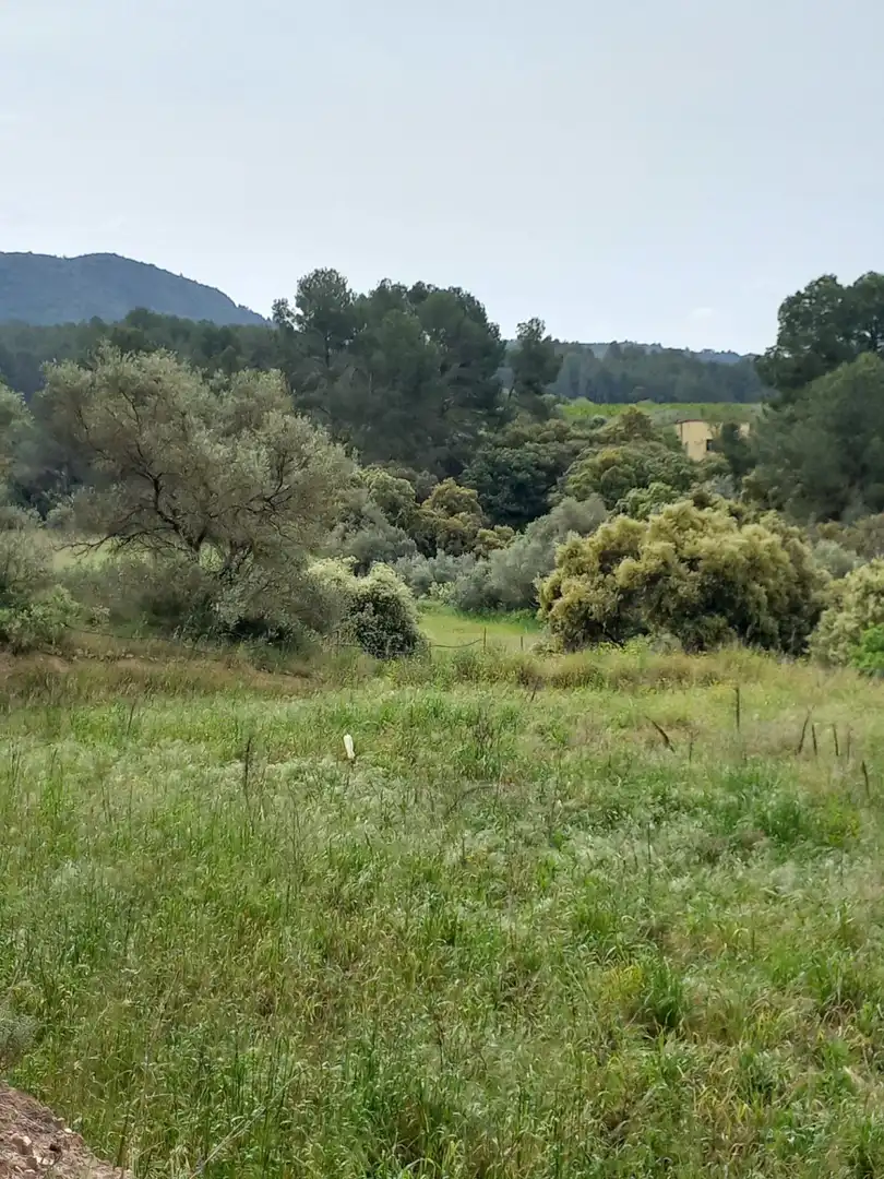 Rural land for sale in Ginestar, imagen 23