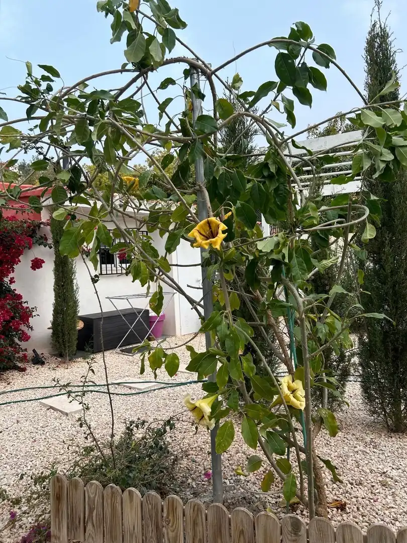 Garden of Houses for sale in Polop  with Air Conditioner, Private garden and Storage room