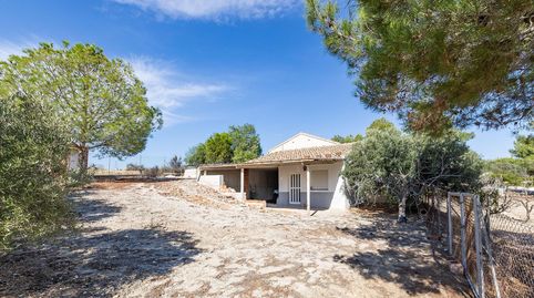 Foto 3 de Finca rústica en venta en Polígono Parcela 585, Los Valientes, Molina de Segura