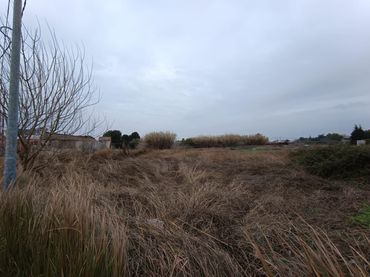 Terreno rustico in vendita a El Llano