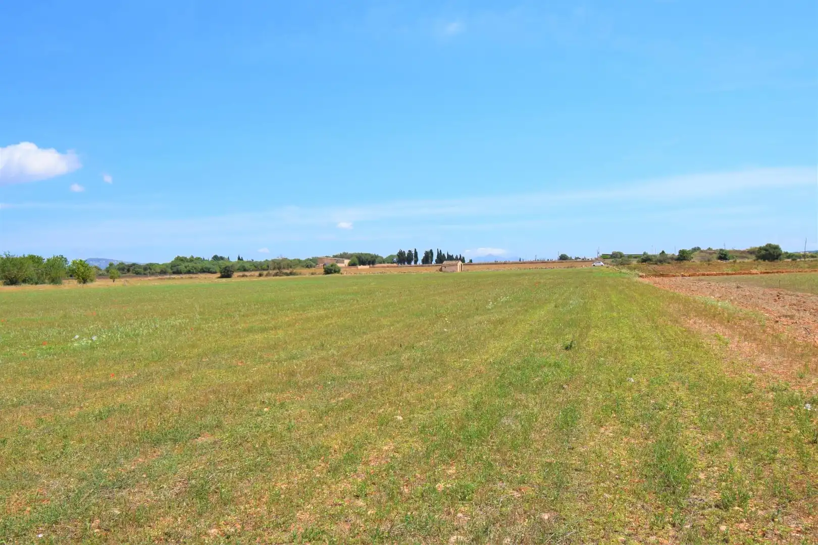 Finca rústica en venda a Llubí