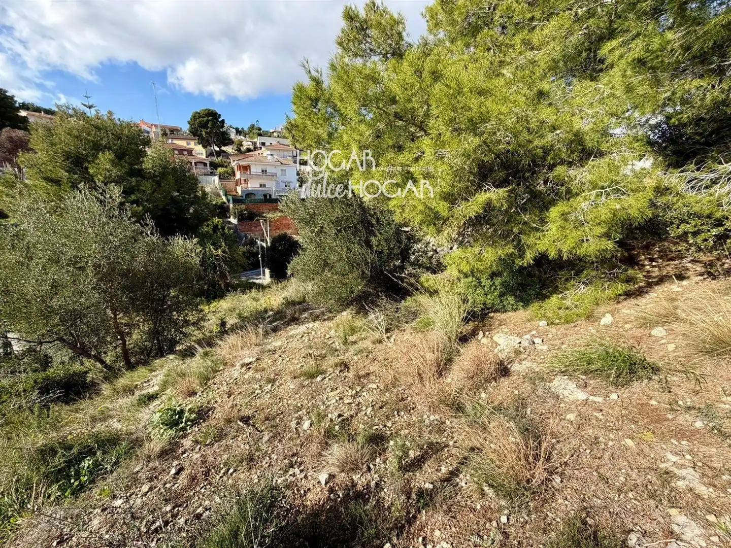 Terreno rustico in vendita a Torre Dels Escipions, imagen 6