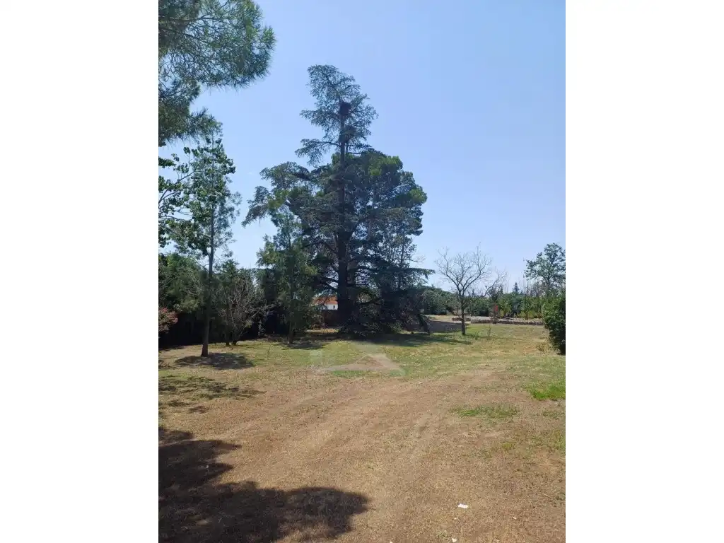 Villa avec jardin à vendre à Vilallonga del Camp, imagen 18