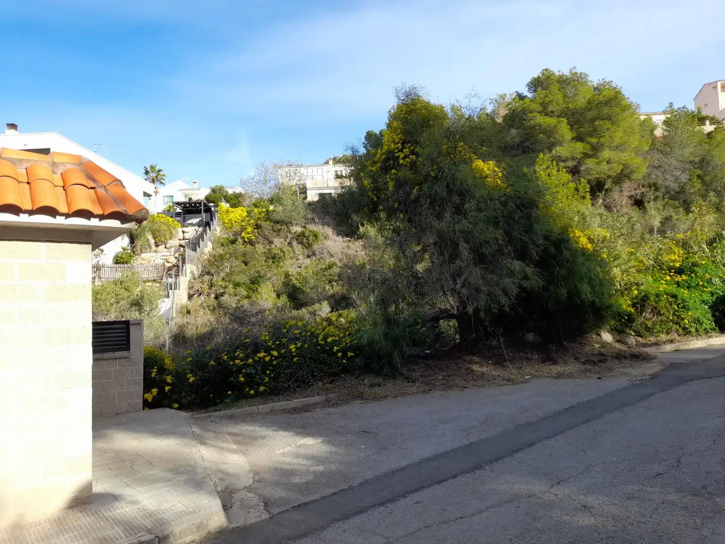 Wohnbaugrundstück zum Verkauf in Avenida de Santa Maria de Montserrat 219, imagen 11