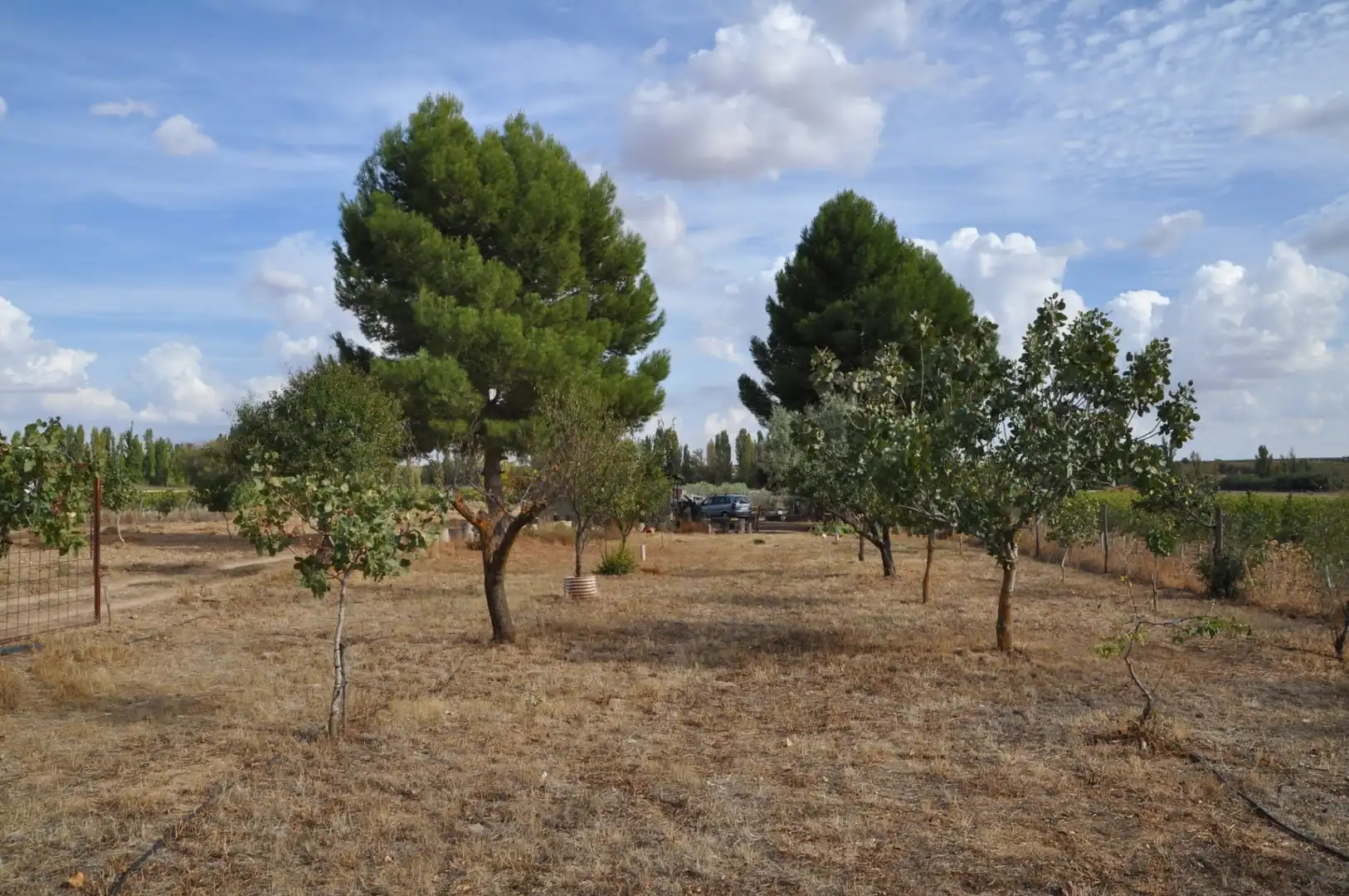 Residential for sale in Villanueva de Alcardete