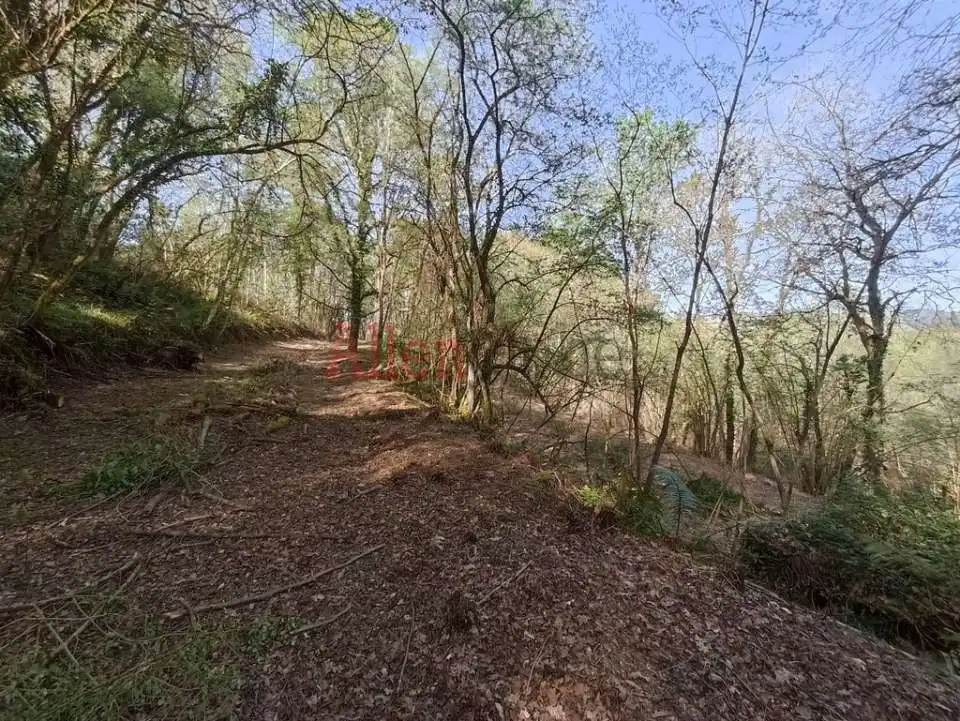 Casa o xalet en venda en Siero