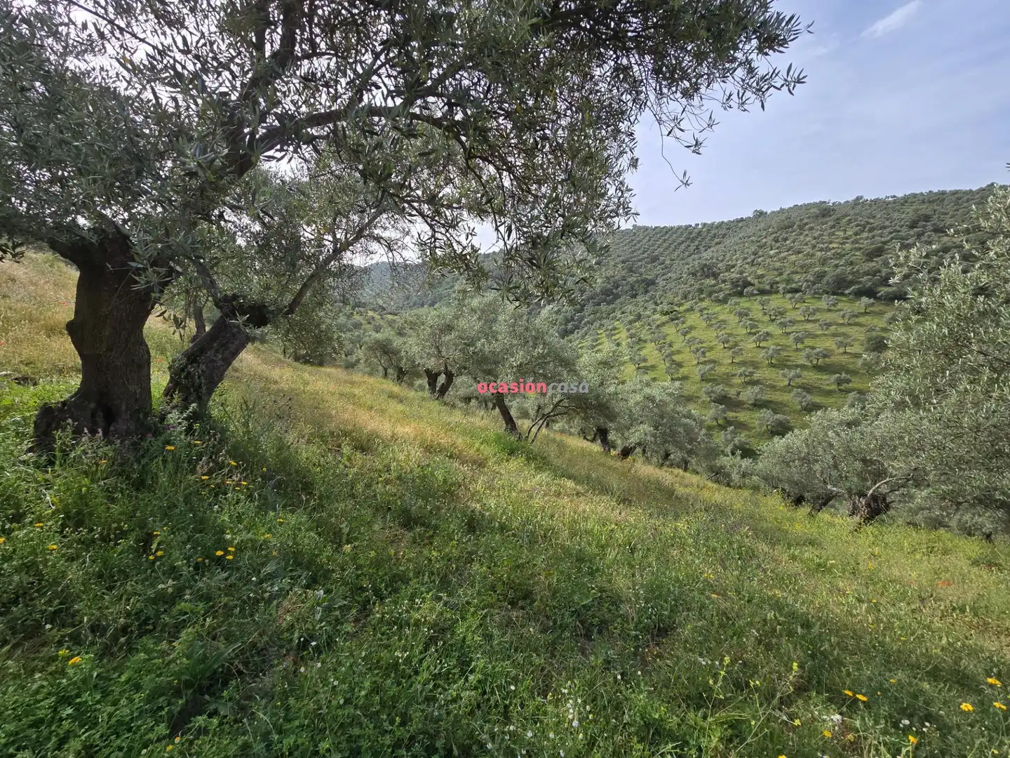 Finca rústica en venta en Pozoblanco