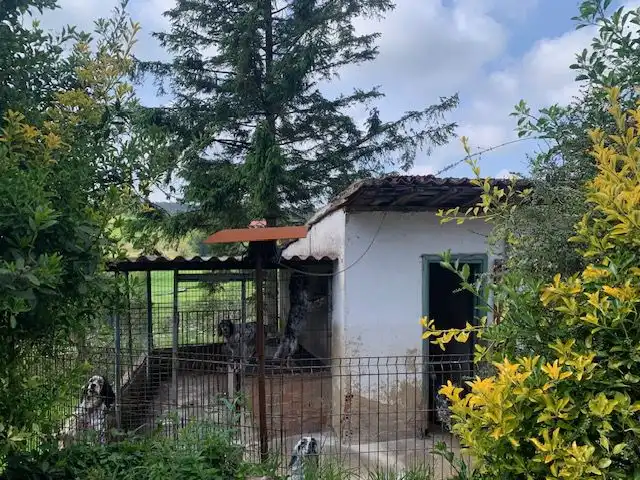 Exterior view of Houses for sale in Carreño  with Heating, Terrace and Storage room
