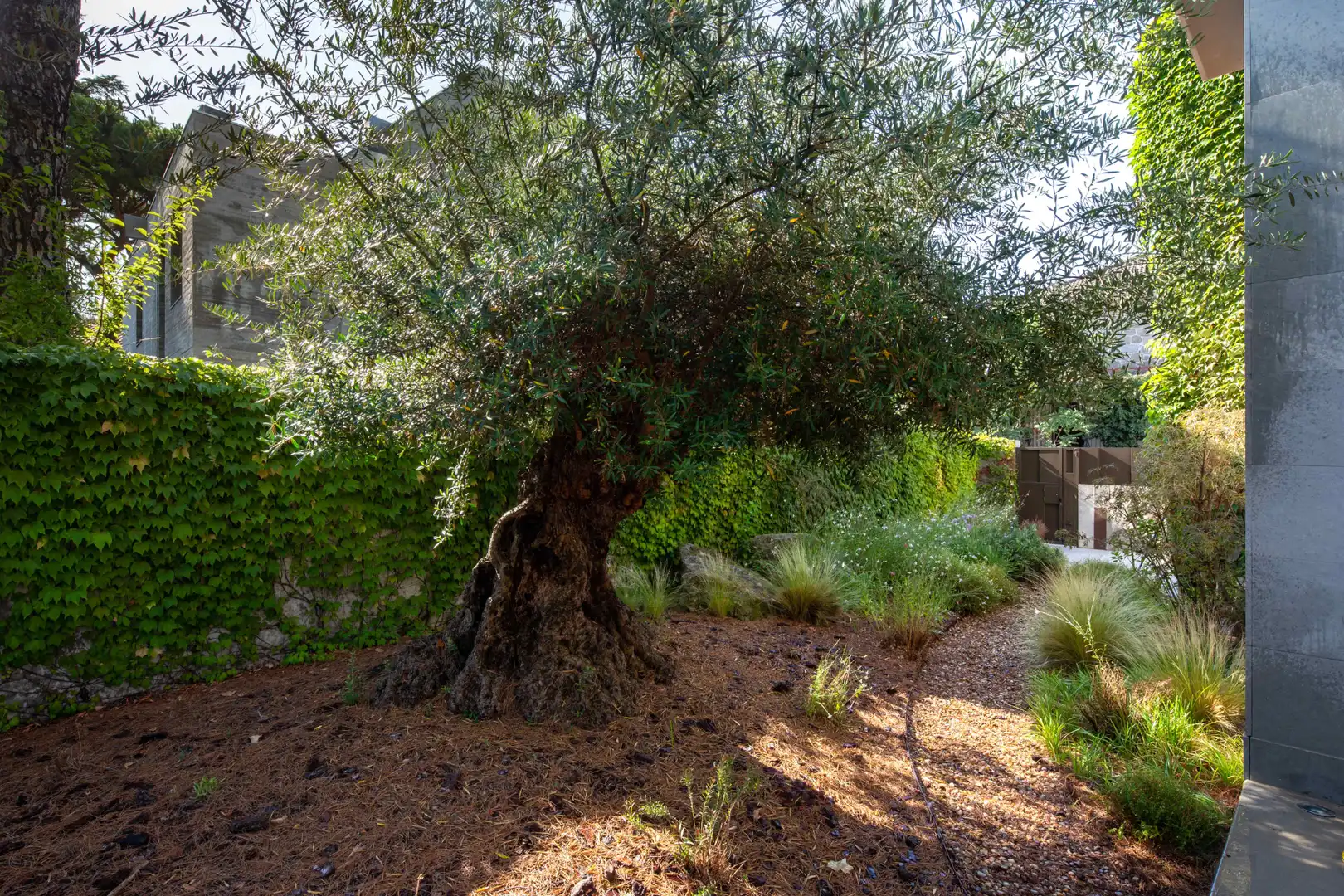 Detached house with pool for sale in Calle San Valentin, imagen 9