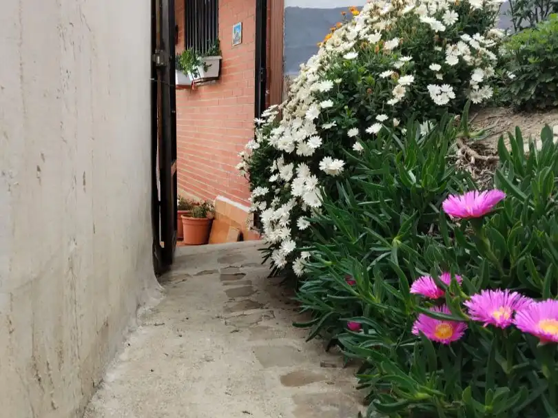 House with garden for sale in Calle Federico Garcia Lorca del Bejarin 221, imagen 4