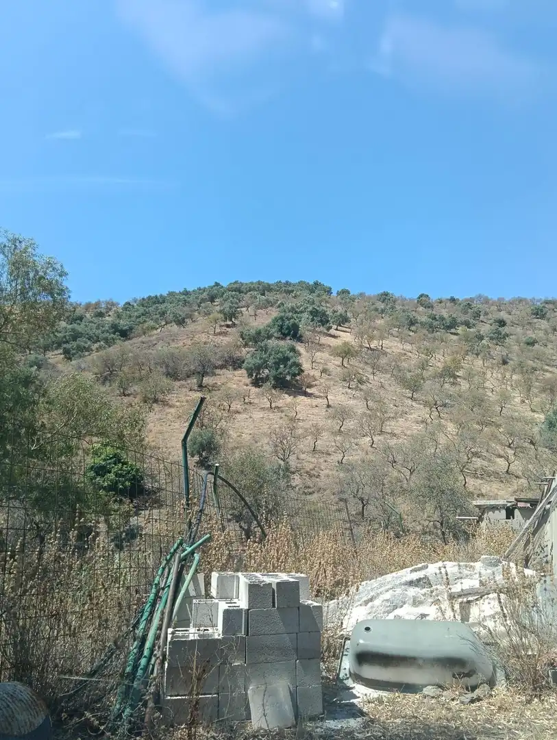 Terreni e lotti in vendita a Benajarafe, imagen 29
