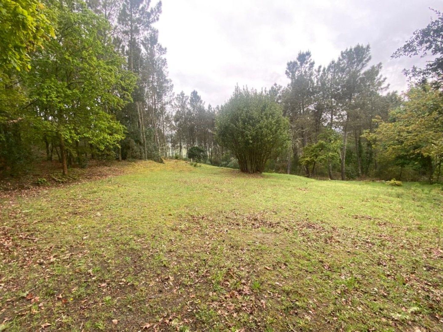 Residential for sale in O Pereiro de Aguiar 