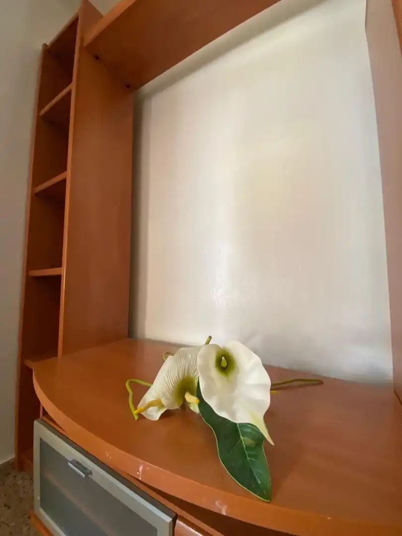 Piso con terraza en venta en Centro, imagen 6